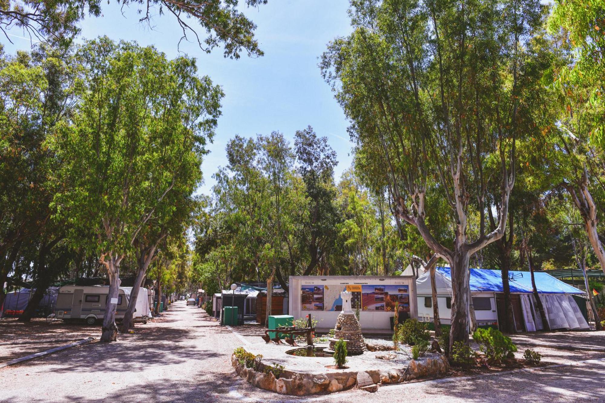 Campsite Camping Torrenostra